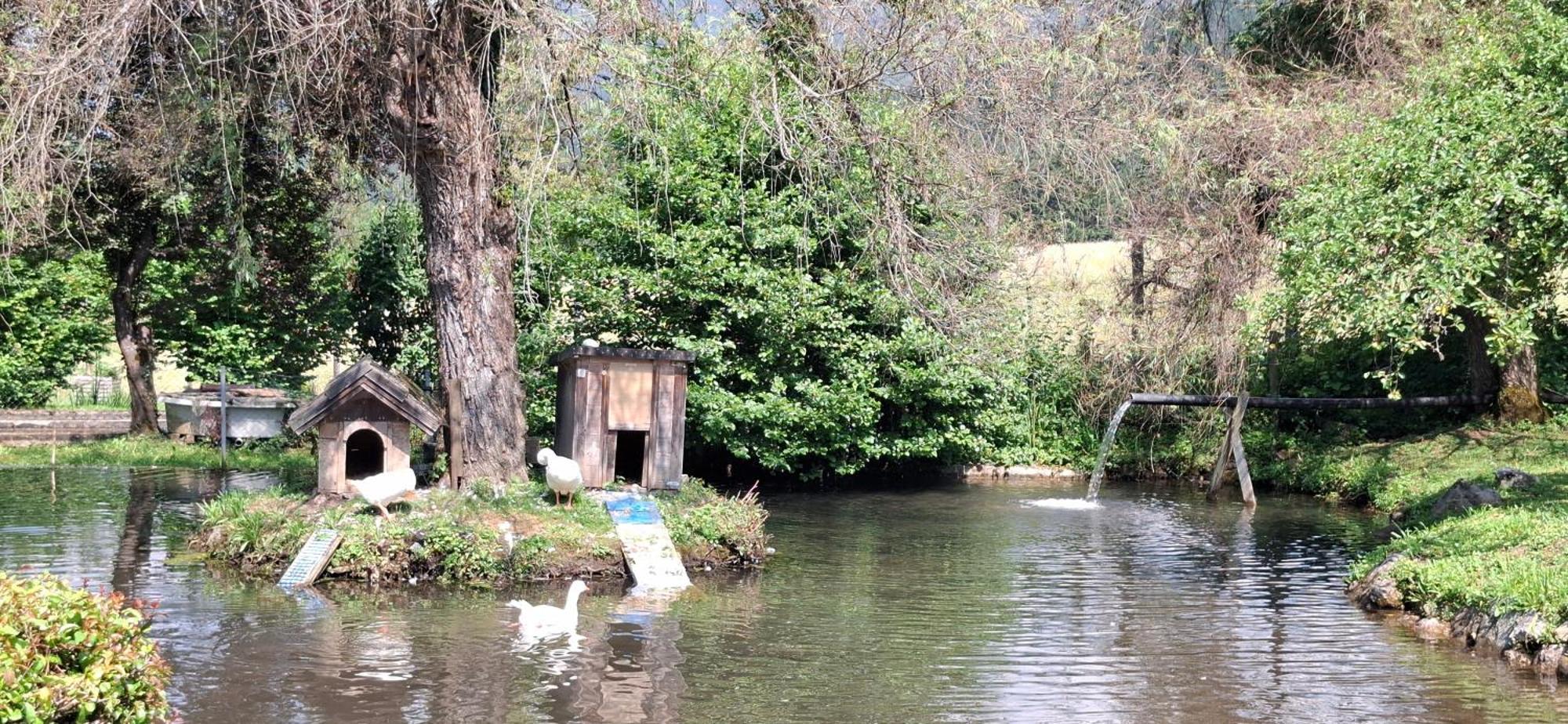 Ferienwohnungen Schloss Wasserleonburg Nötsch エクステリア 写真