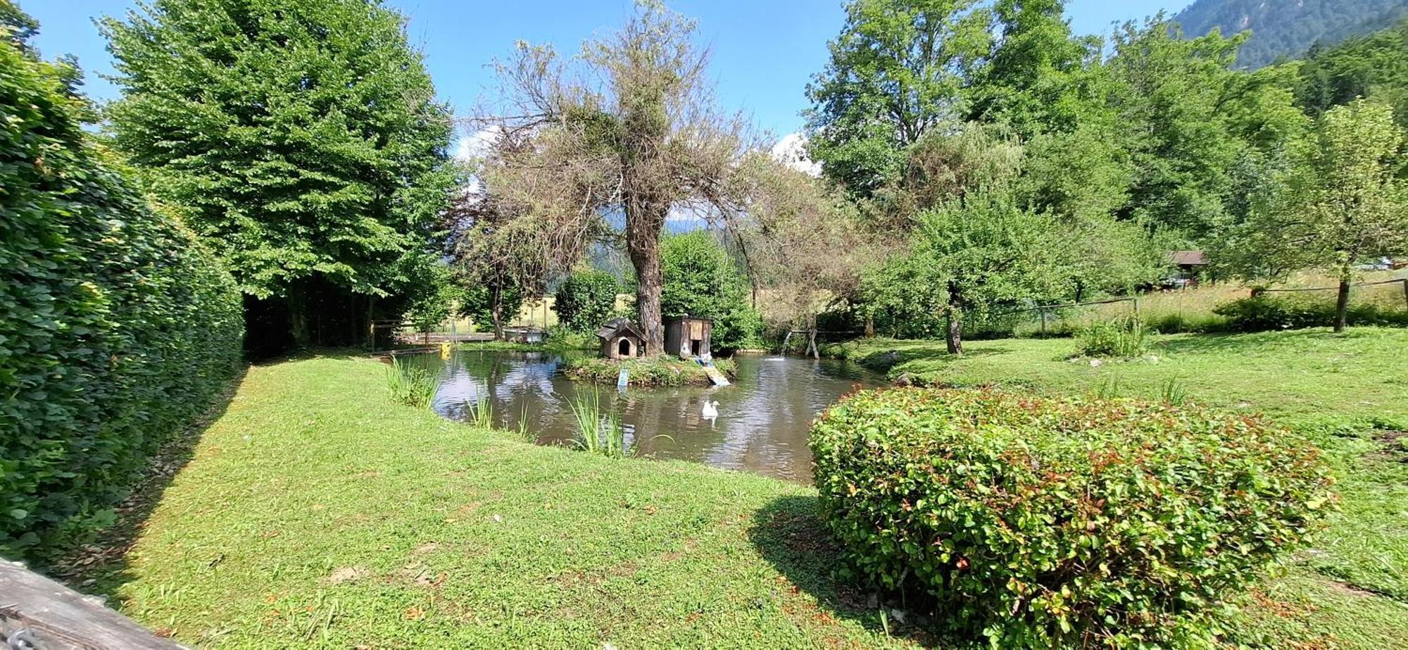 Ferienwohnungen Schloss Wasserleonburg Nötsch エクステリア 写真