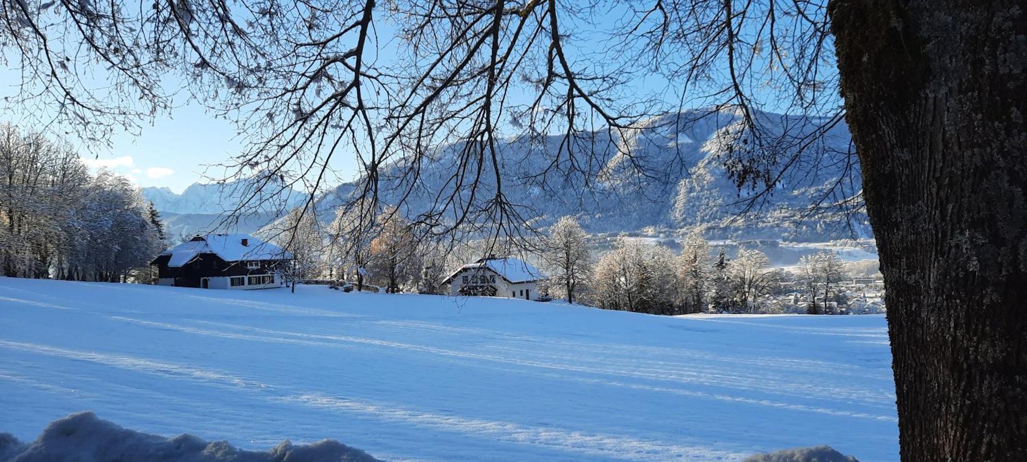Ferienwohnungen Schloss Wasserleonburg Nötsch エクステリア 写真